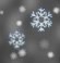 Light Snow Fog/Mist