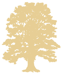 Ohnward Bancshares, Inc